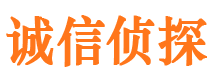 镇宁市婚外情调查